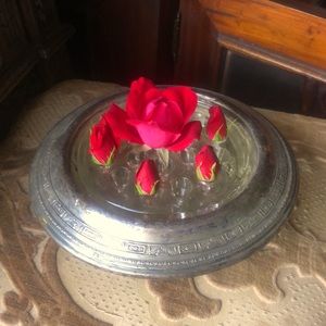 Antique flower bud display silver glass